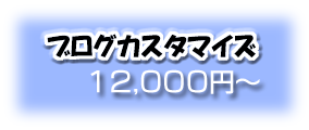 ブログカスタマイズ代行